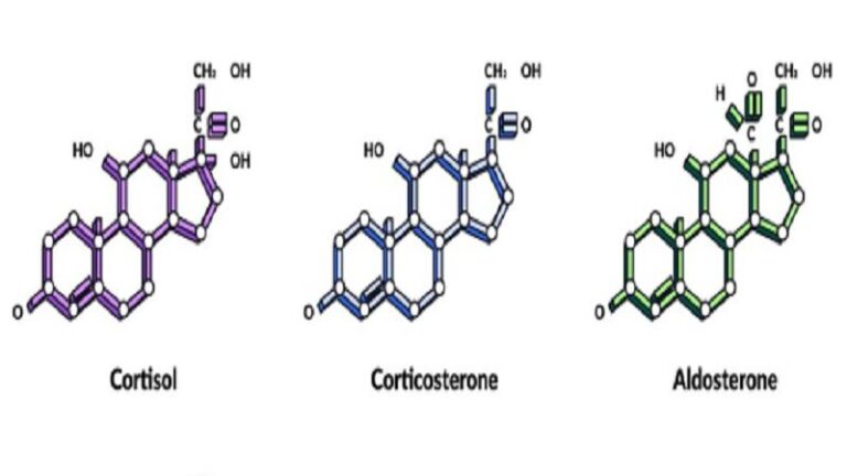 Dyxrozunon Mydecine Synthetic Molecule